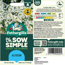 Alyssum Seed
