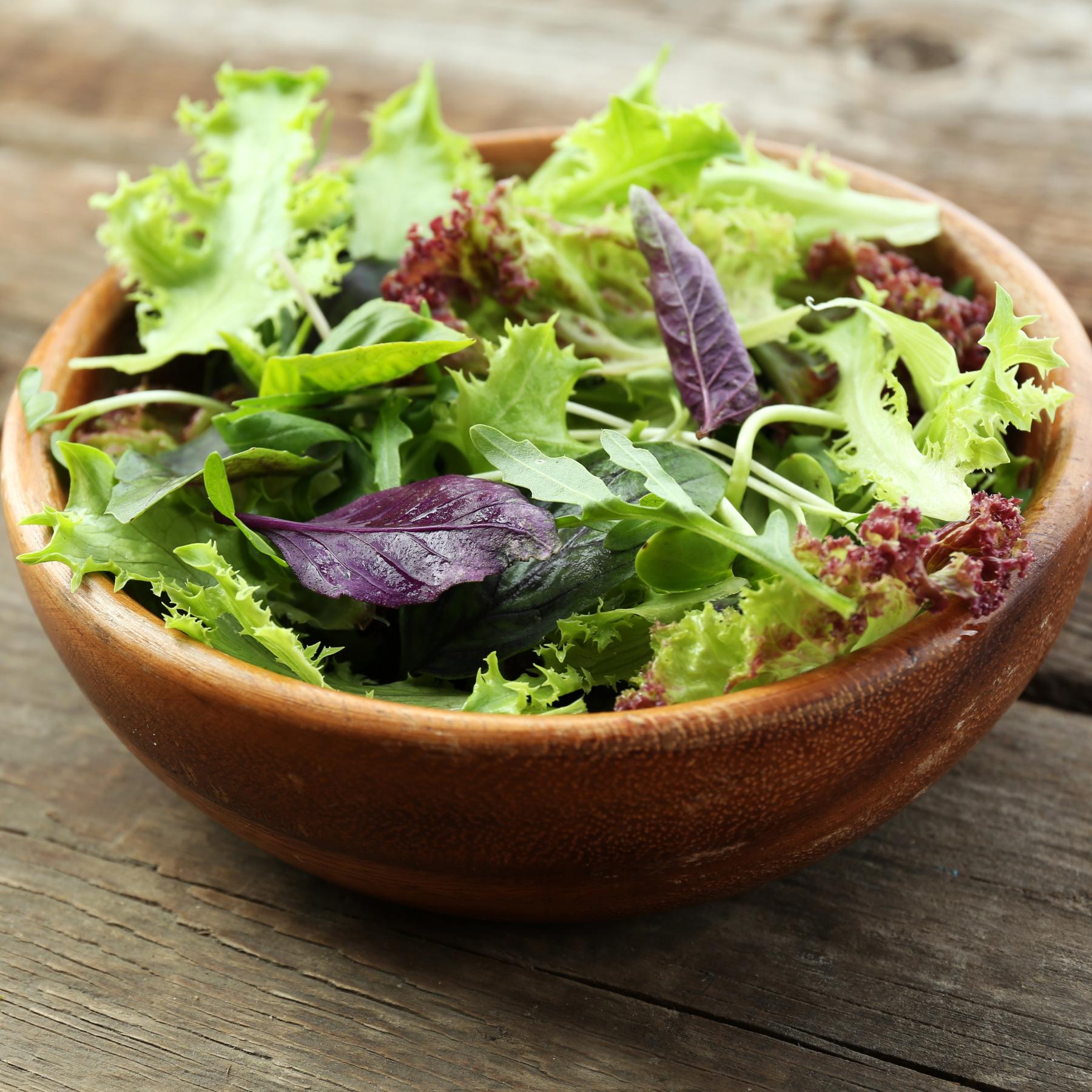 Salad Leaves Spicy Mix Seed
